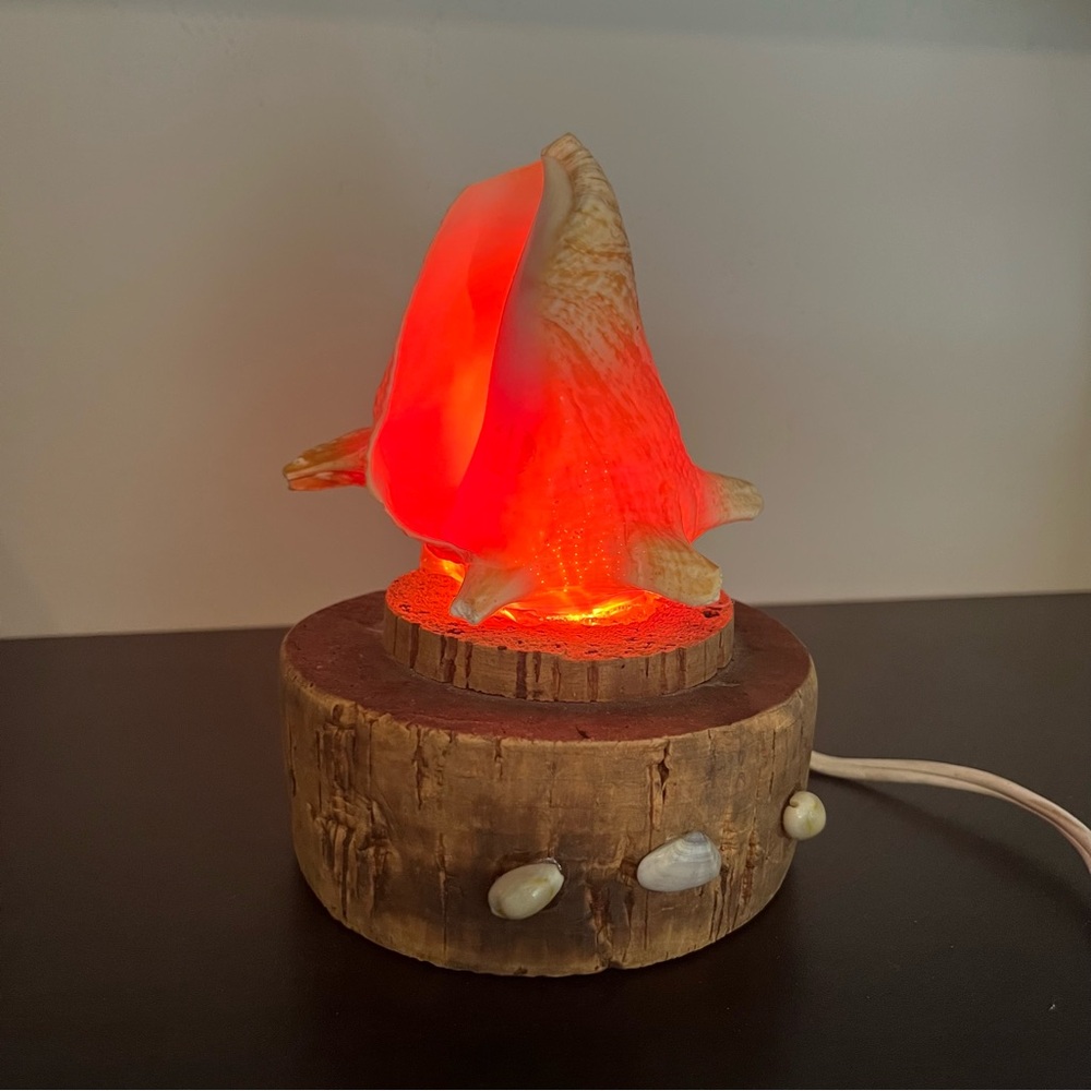 VTG MCM CONCH SEA SHELL TABLE LAMP AMBER Beach Tiki Bar 60’s Cottagecore Granny